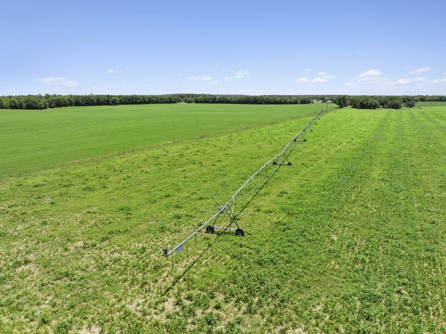 688± Acre Turn Key Farm Operation in Marion County