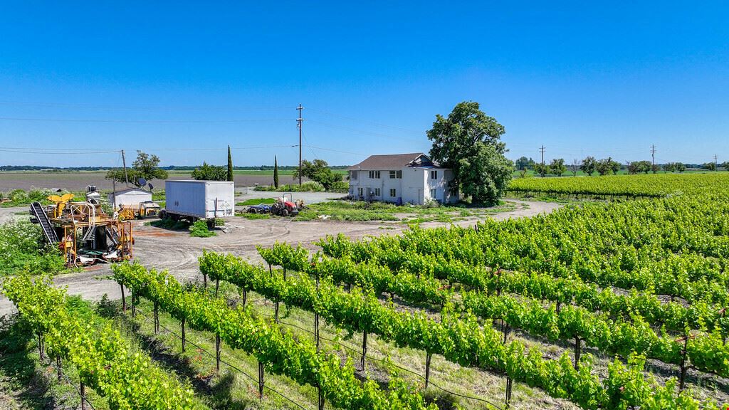 Clarksburg Vineyard Land