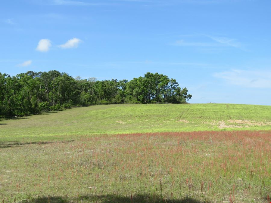 River View Farms