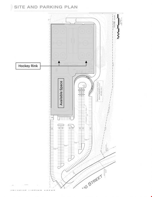 ESSEX SPORTS COMPLEX