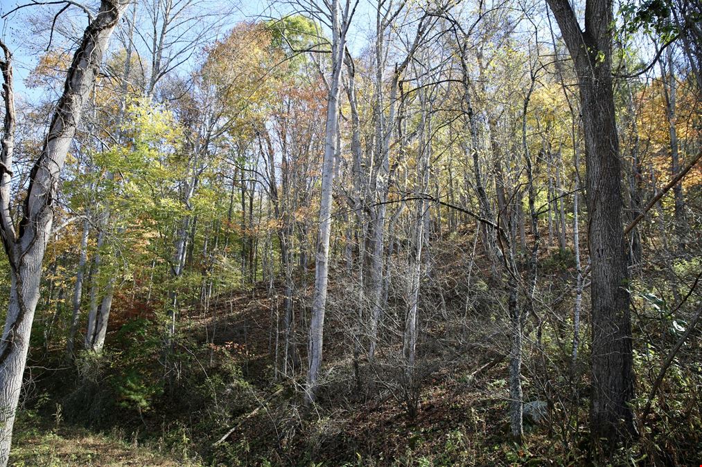 Ridges at Rock Creek 72 Acres