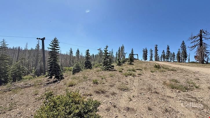 99981 Mormon Emigrant Trail