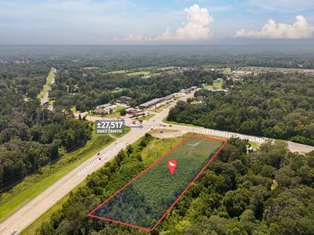 Preview of VacantLand space for Sale at 19240 Greenwell Springs Rd