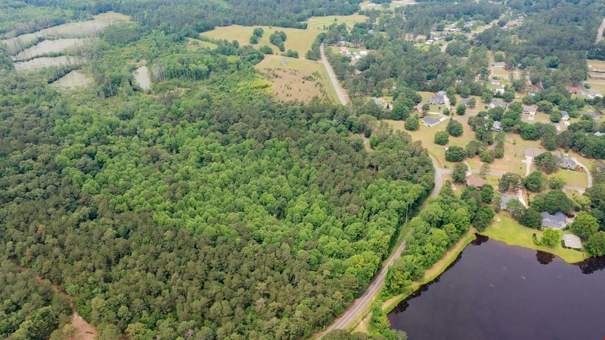 13.75 Acres Undeveloped Land with Timber: Mixed Hardwoods in North Aiken
