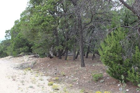 Preview of VacantLand space for Sale at 7 Manzano Loop