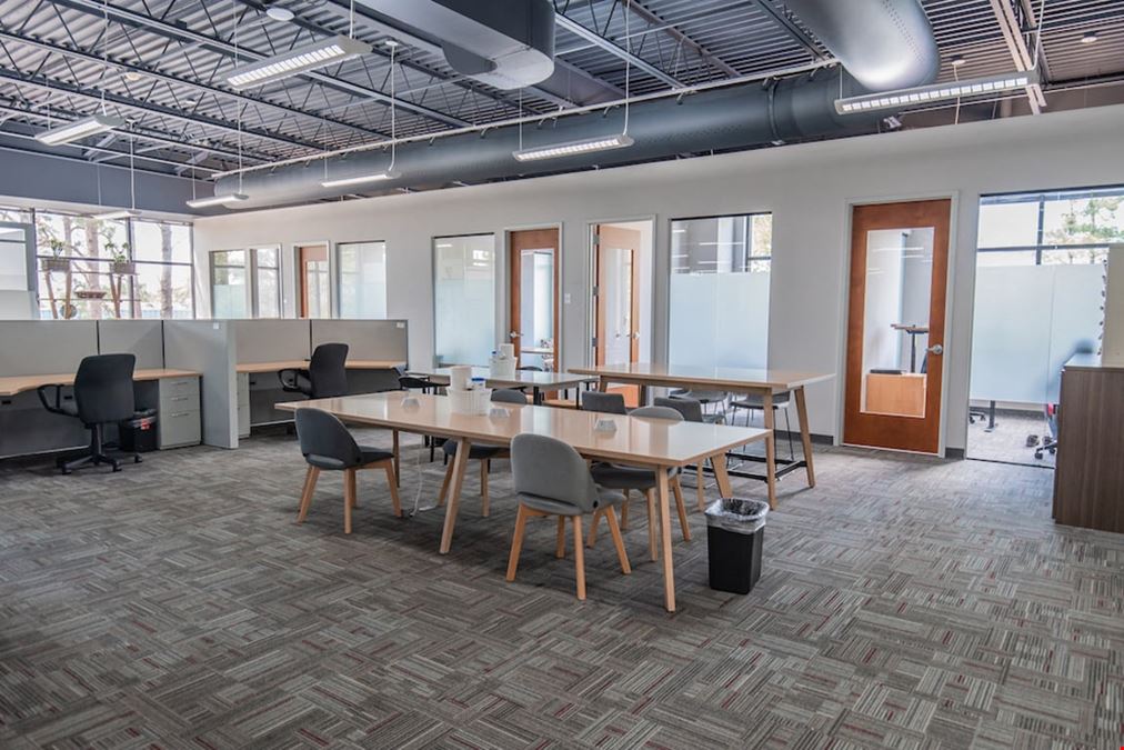 Blue Mind Coworking