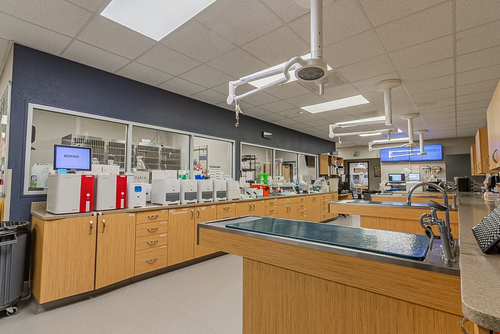 Investment Opportunity- Foothills Animal Hospital, 11769 E South Frontage Rd