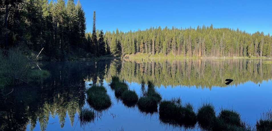 Big Creek Meadows Ranch