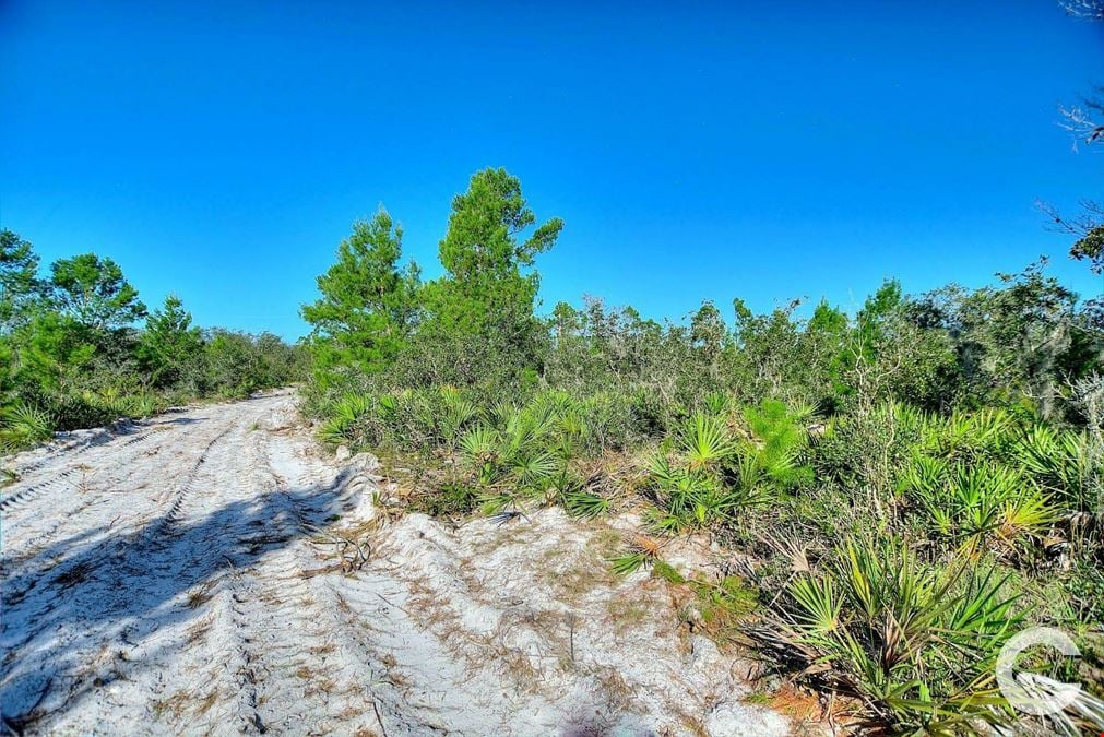 6.34 Acre Residential Homesite in Frostproof, FL