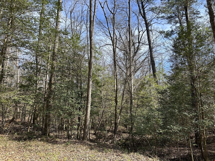 Garland Reid Road Tract