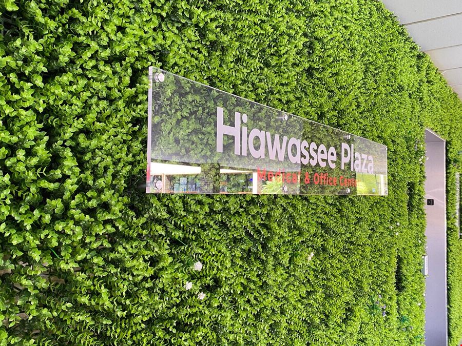 Hiawassee Plaza