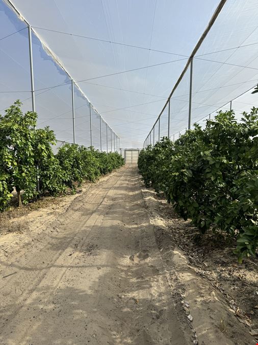 Turn-Key Citrus Under Protective Screen (CUPS) Pod