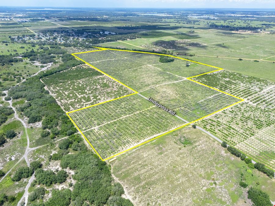 Underpass Road 74 ± Acre Land Opportunity