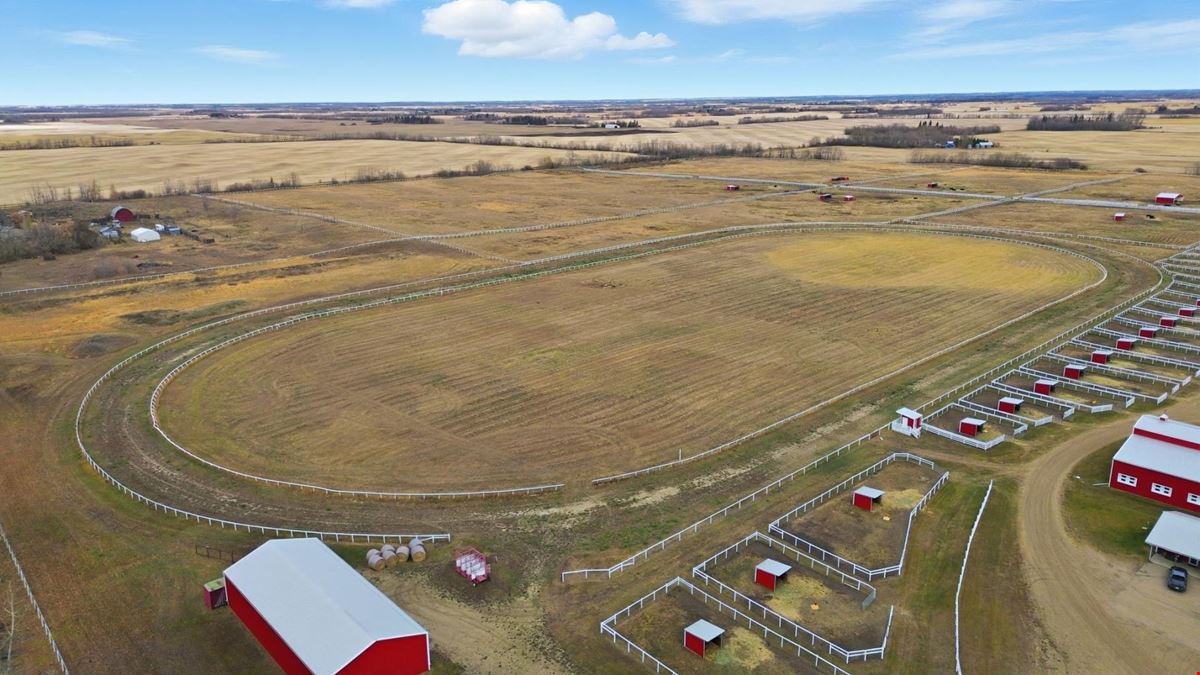 World-Class Equestrian in Central Alberta (Canada)