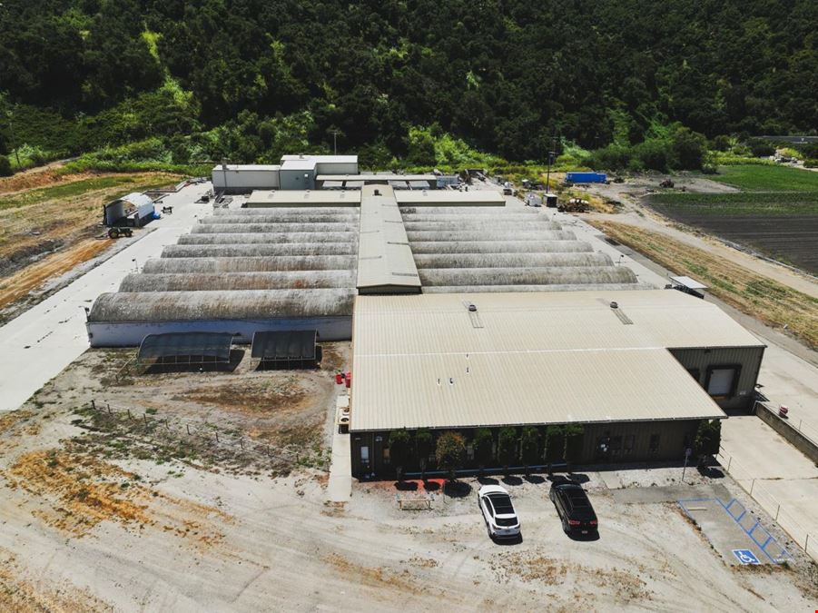 Cultivation Facility ±53,000 SF High Bays
