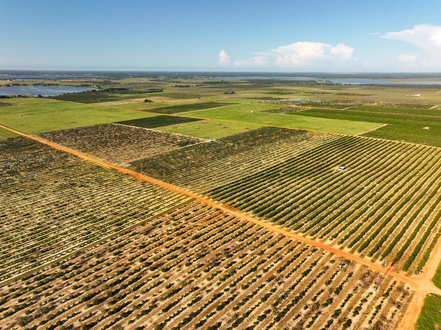 Auction - 584 Acres in Polk County