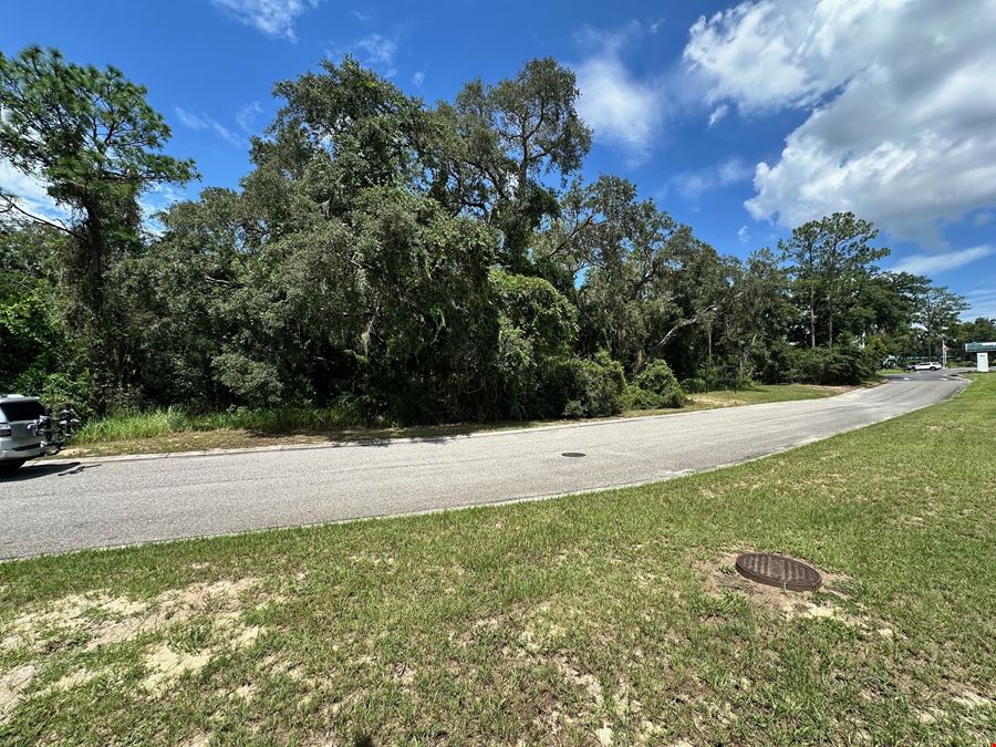 2.5+ Acre Commercial Land on Hwy 441