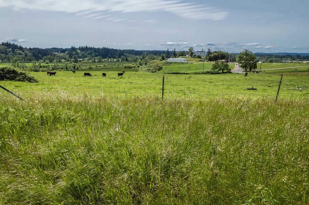 Lot 4/5 - Turner Rd Development