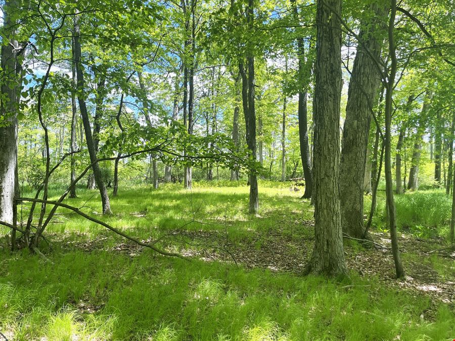 31.4 Acres of Private Recreational Land – Grass Lake/Sharon Township