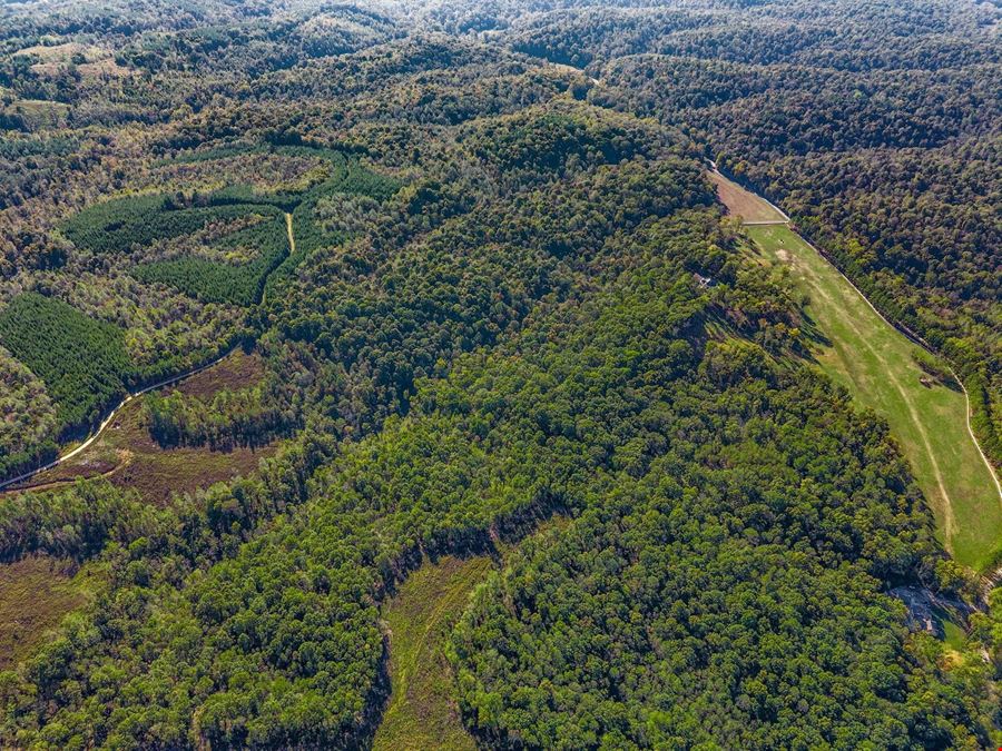 Cox Hollow Rd