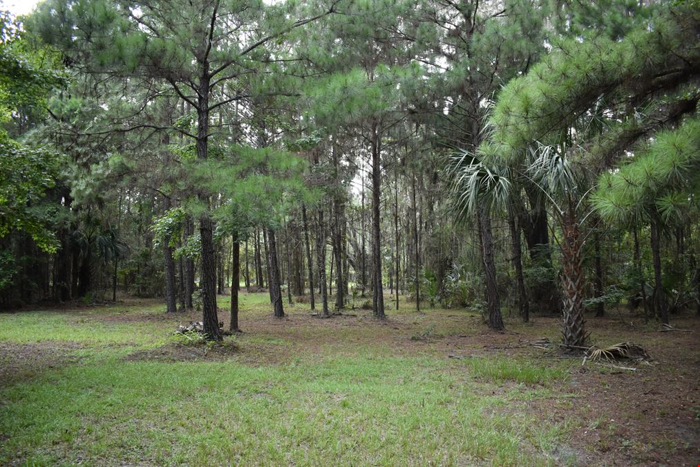 Micanopy Homesite and Recreational Tract