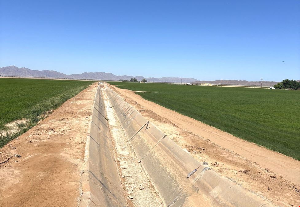 Excellent Vegetable Farmland: ±110 Water Acres in Wellton