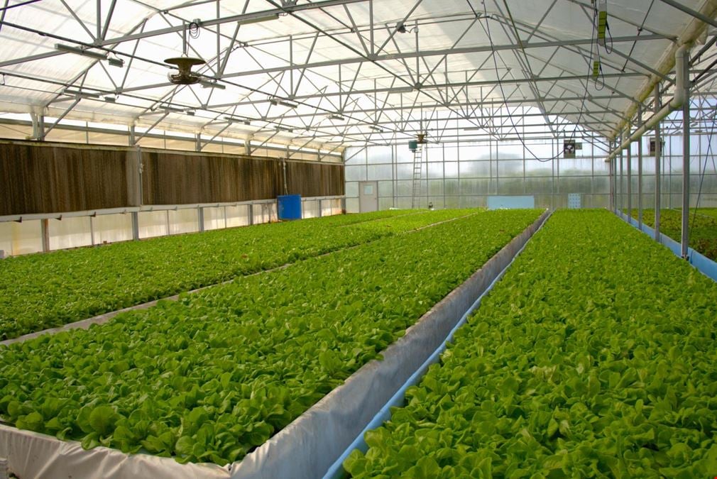 Turnkey Aquaponic Farm - Opportunity Zone