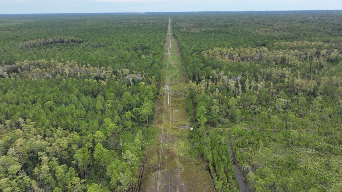 Tomoka Farms Road 411 ± Acres