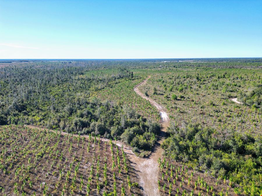 202 Acres in Northwest Florida –Timber, Hunting & Coastal Access