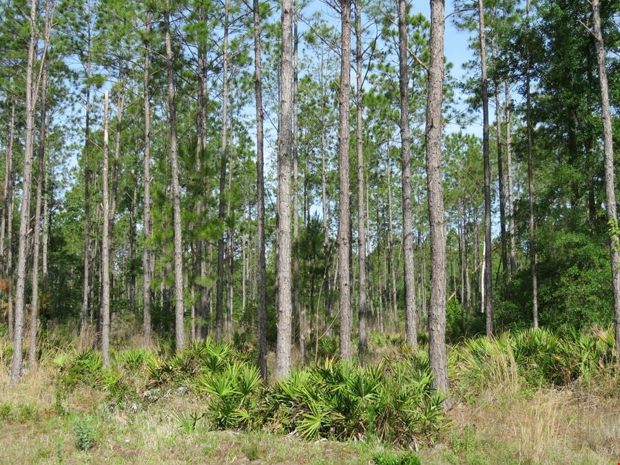 Otter Creek Farm & Recreational Tract