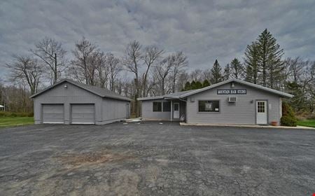 Preview of Mixed Use space for Sale at 113 Ward Ave