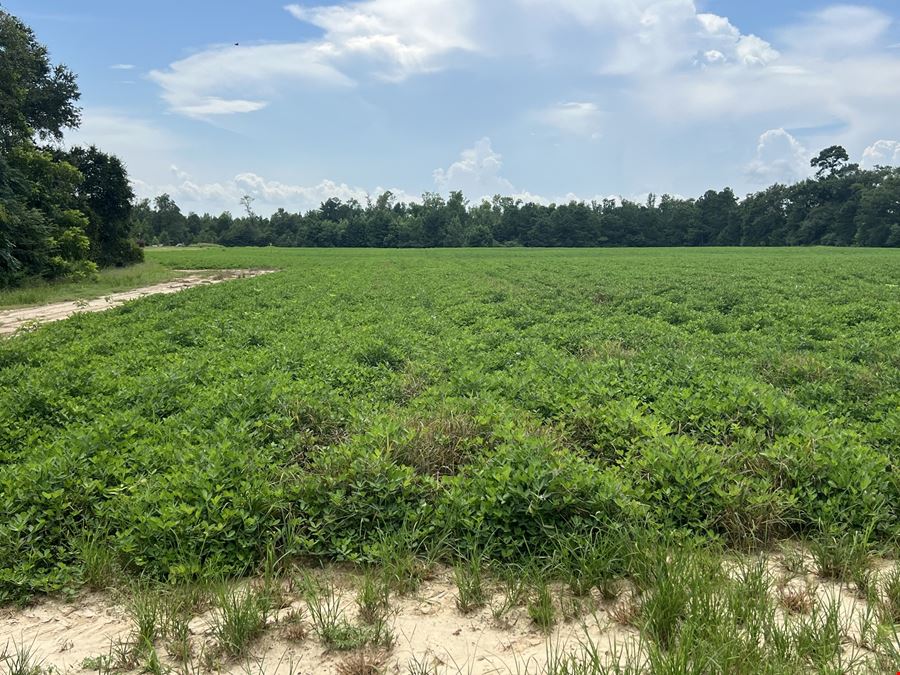 35 acres Farmland- Marianna, FL