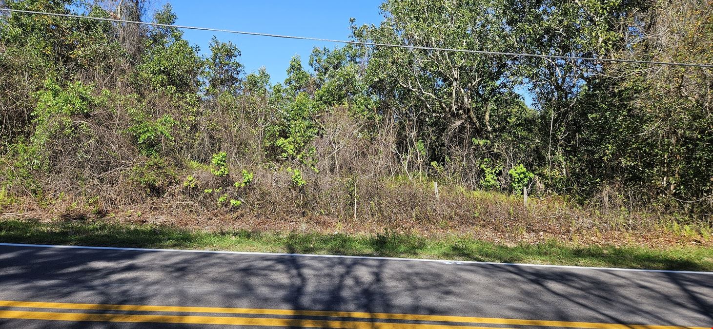 47± Scenic Wooded Acres with Trails, Wildlife, and Lake Access