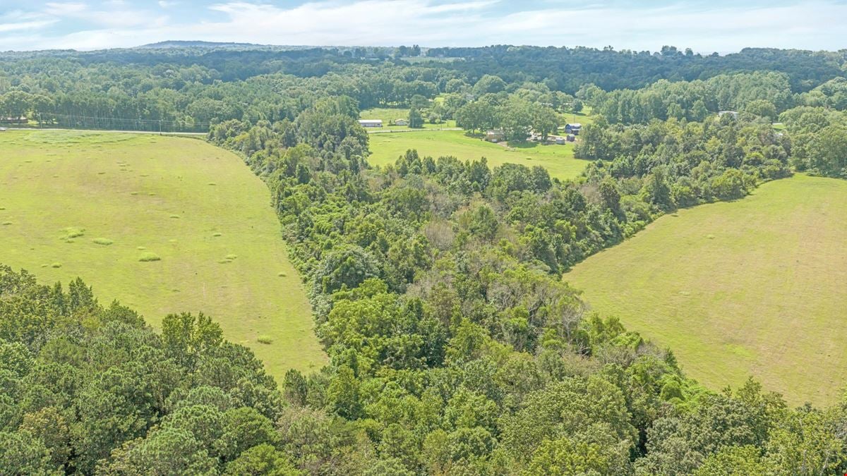 Henagar Investment Land 41 Acres