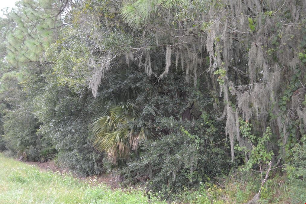 Deen Still Road Homesite