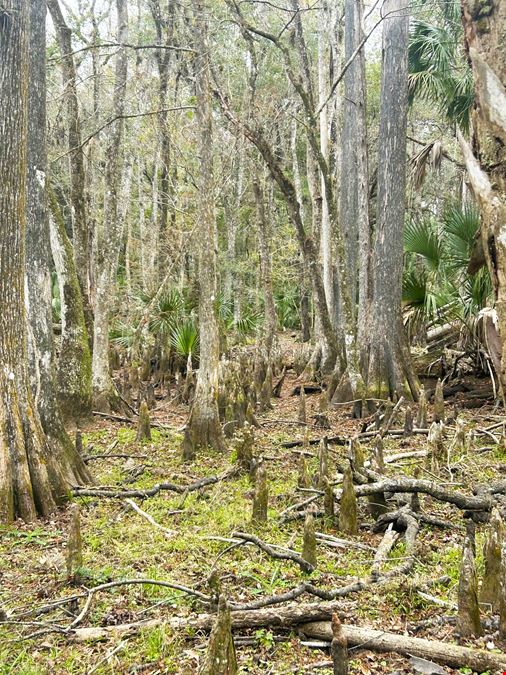 Citrus County Ranch and Recreational Tract