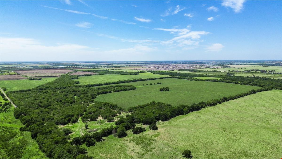 55 Acres for Sale in Royse City
