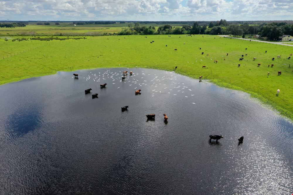 West Lake Wales Residential, Commercial or Industrial Acreage