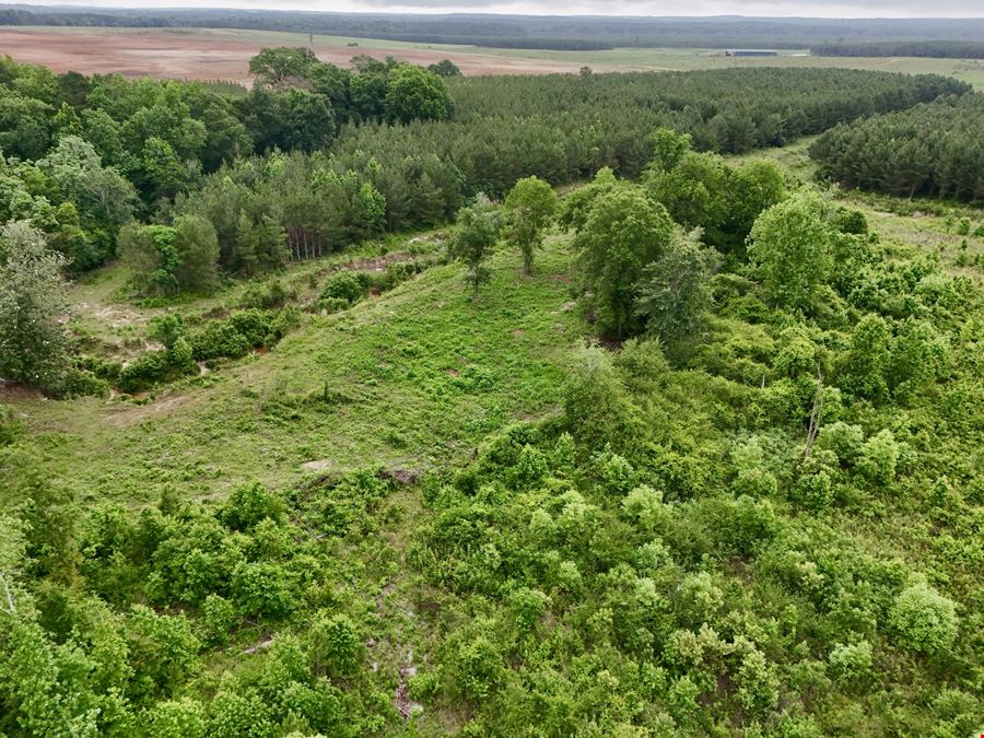 Beaver Creek Tract