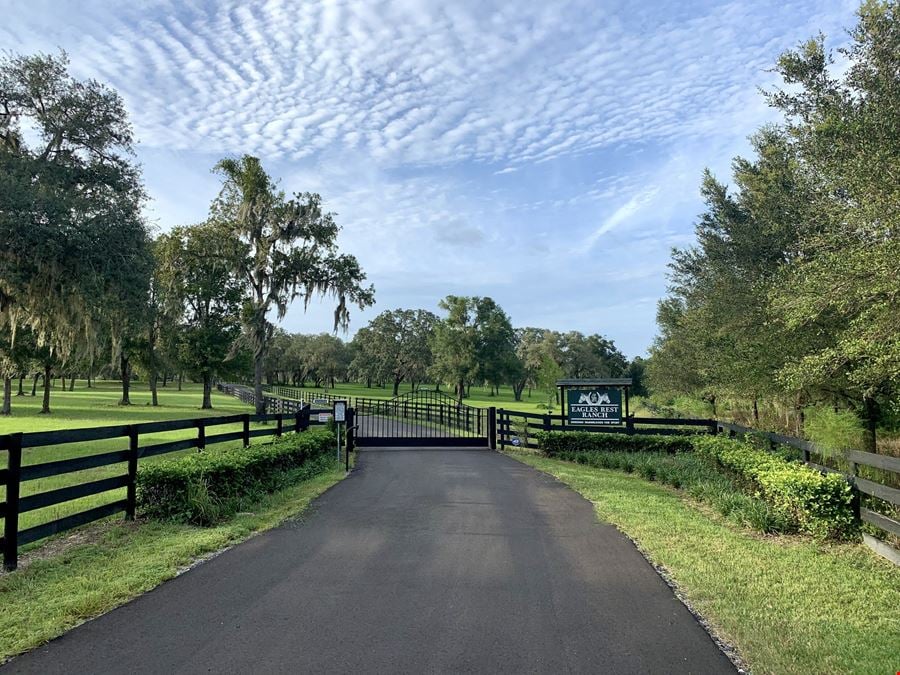87.4± Acre Eagles Rest Equestrian Estate Near Ocala