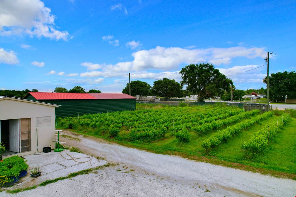 Organic Farm
