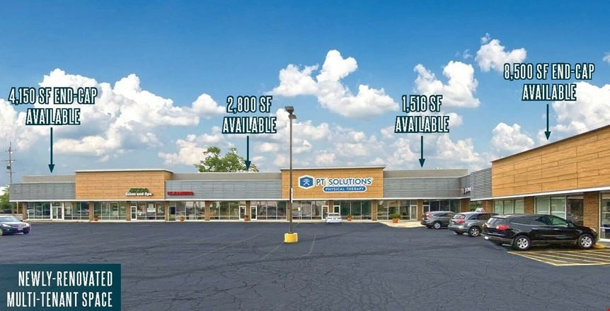 Preview of Retail space for Rent at 2223 S Wolf Rd, Hillside, IL 60162