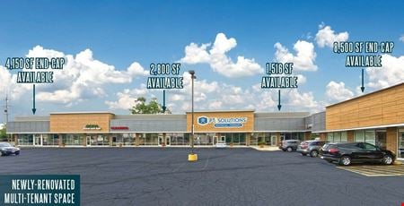 Preview of Retail space for Rent at 2223 S Wolf Rd, Hillside, IL 60162