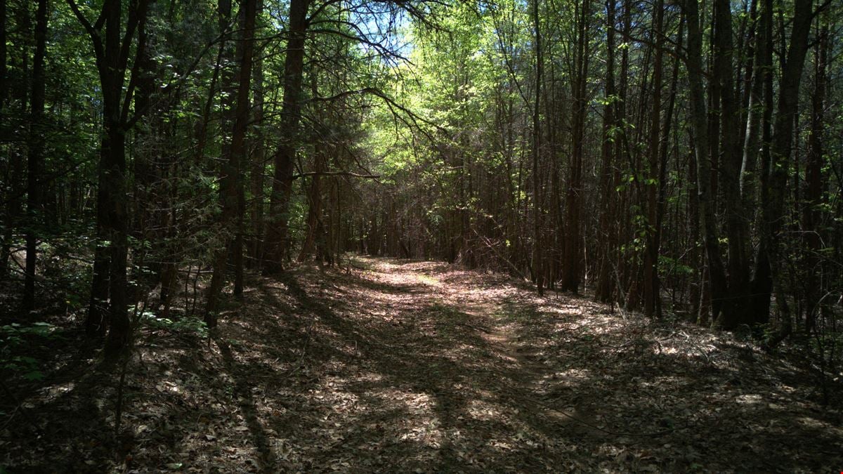 ± 34.48 Unrestricted Acres Near Lake Keowee