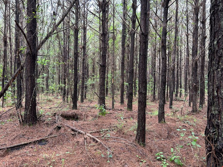 Fox Pen Tract