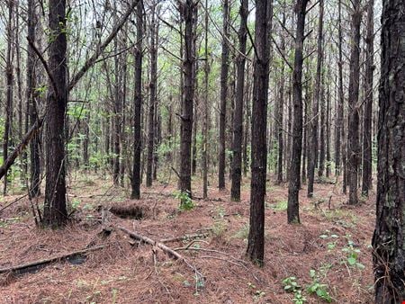 Preview of VacantLand space for Sale at Halso Mill Road