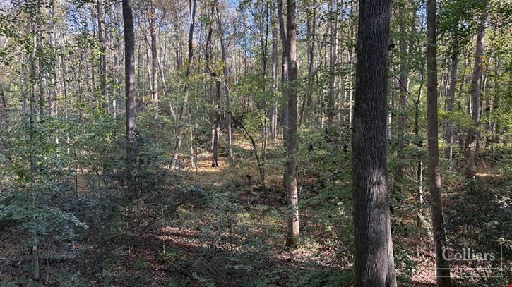±116.15-Acre Tract for Sale - 35 Minutes to Downtown Greenville
