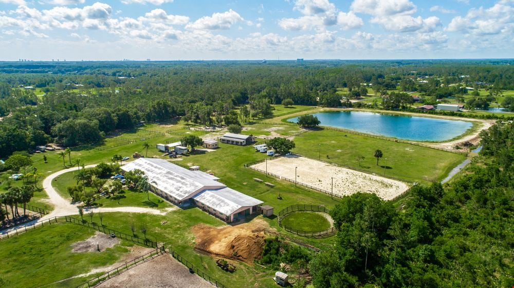 Serendipity Stables