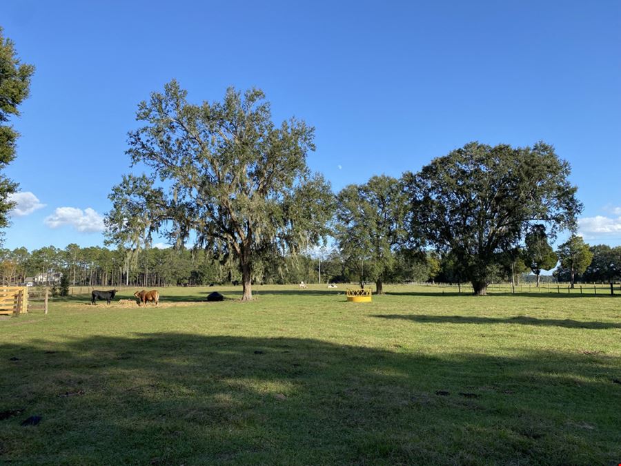 40 Acre Ranch Oxford, FL
