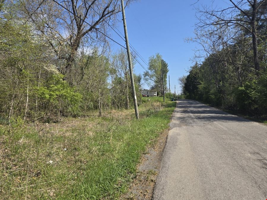 26.84 Acres Available off Chapman Hwy for Single-Family Development